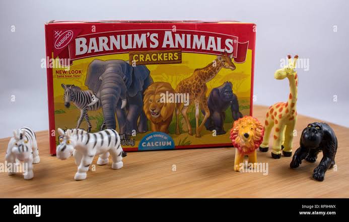 Jungle Animals